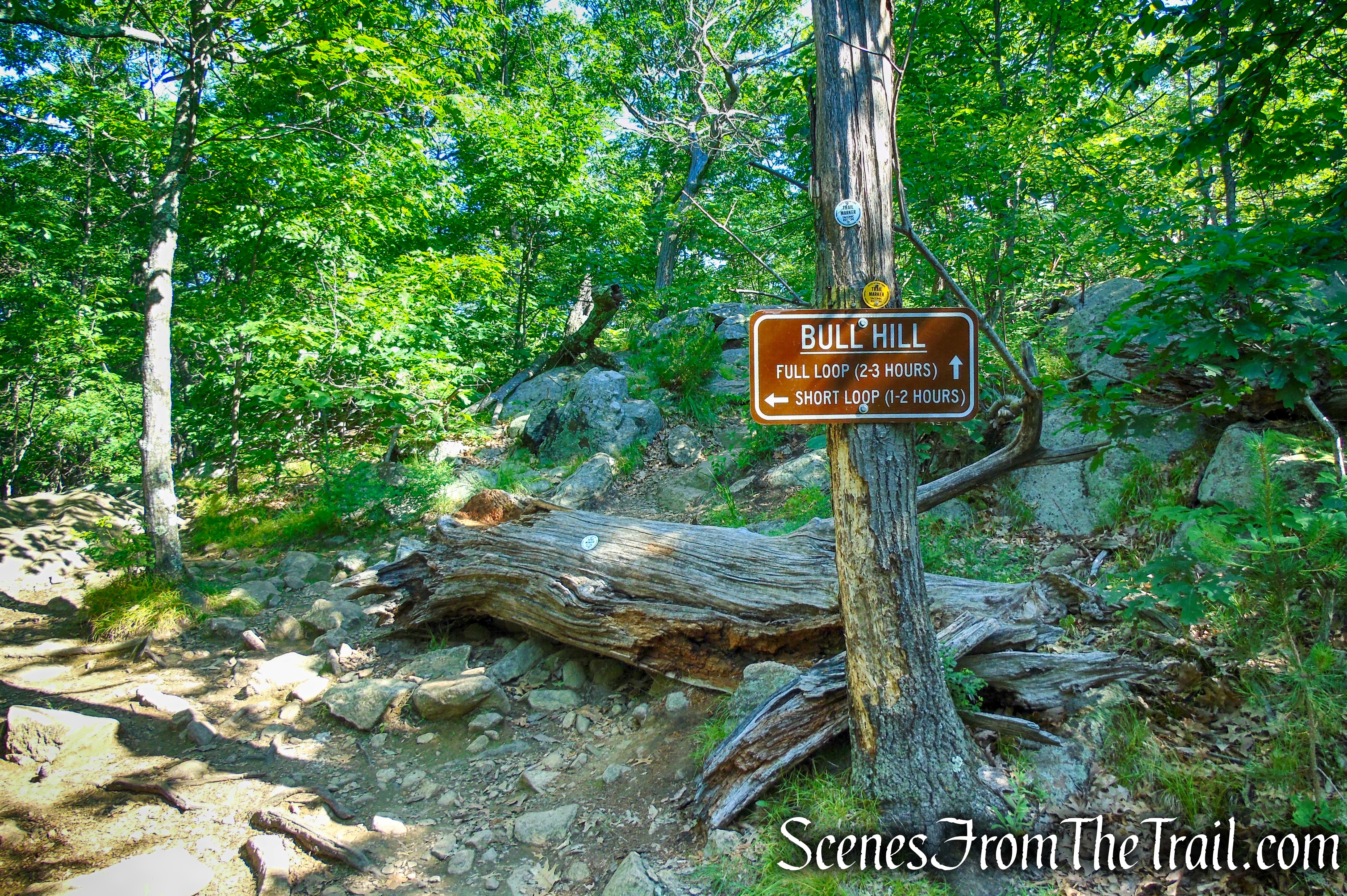 turn left on the Undercliff Trail