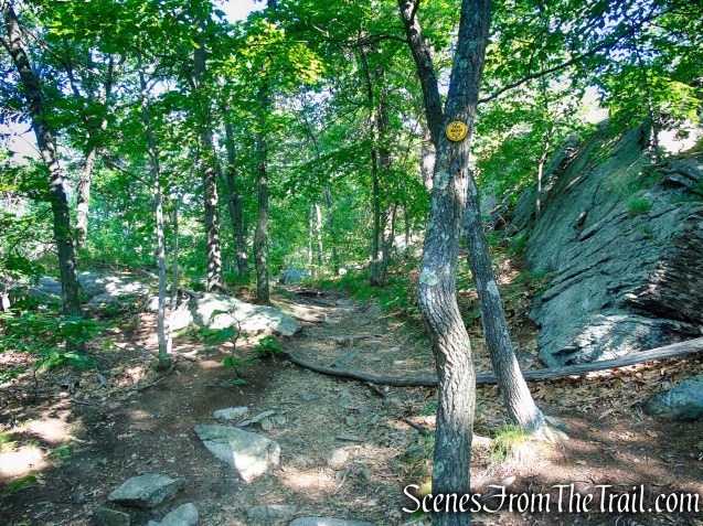 Undercliff Trail - Bull Hill