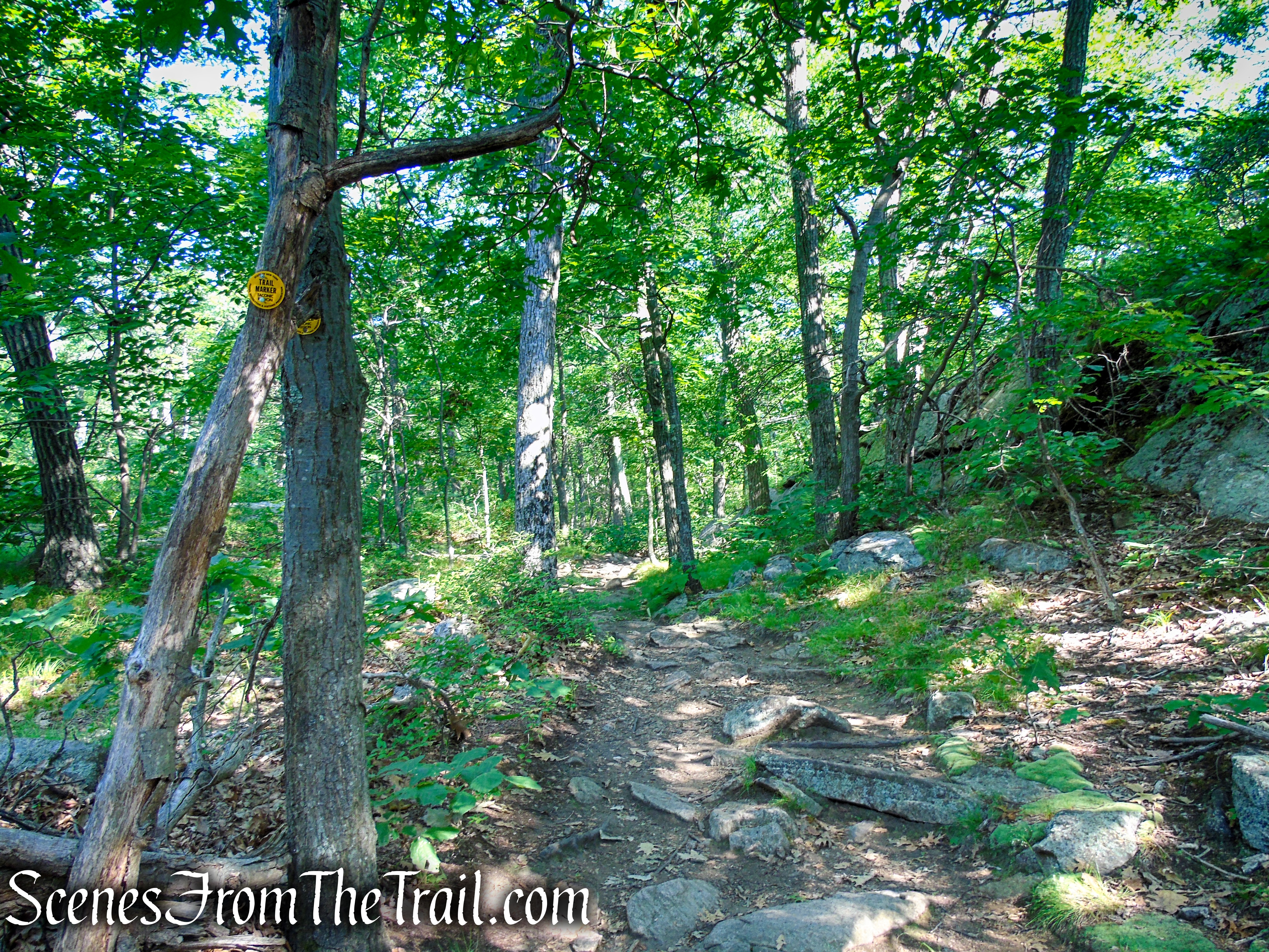 Undercliff Trail - Bull Hill