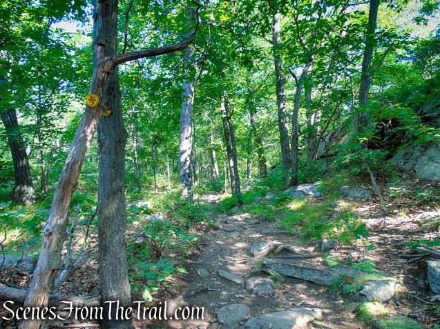 Undercliff Trail - Bull Hill
