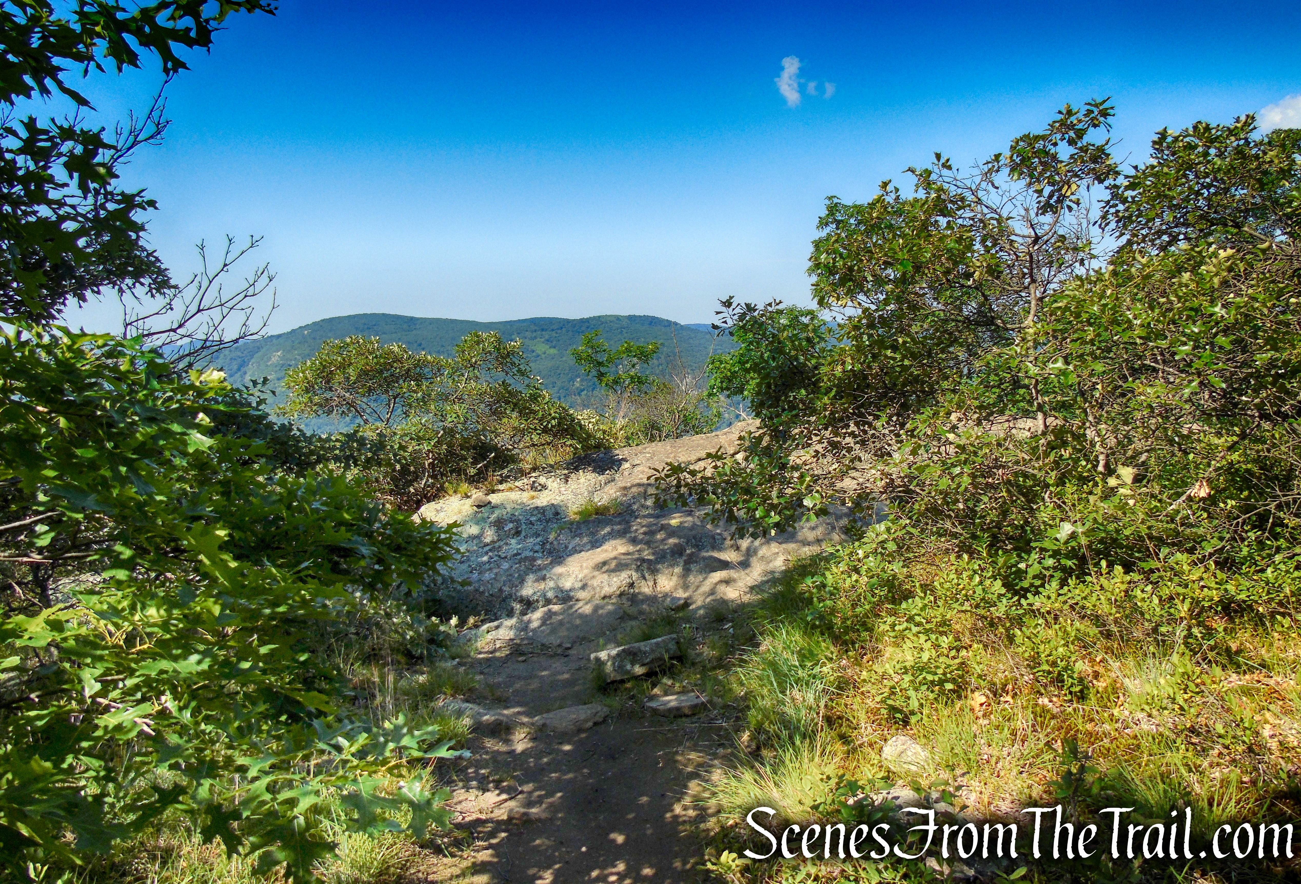 Undercliff Trail - Bull Hill