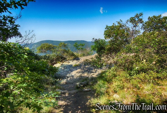 Undercliff Trail - Bull Hill