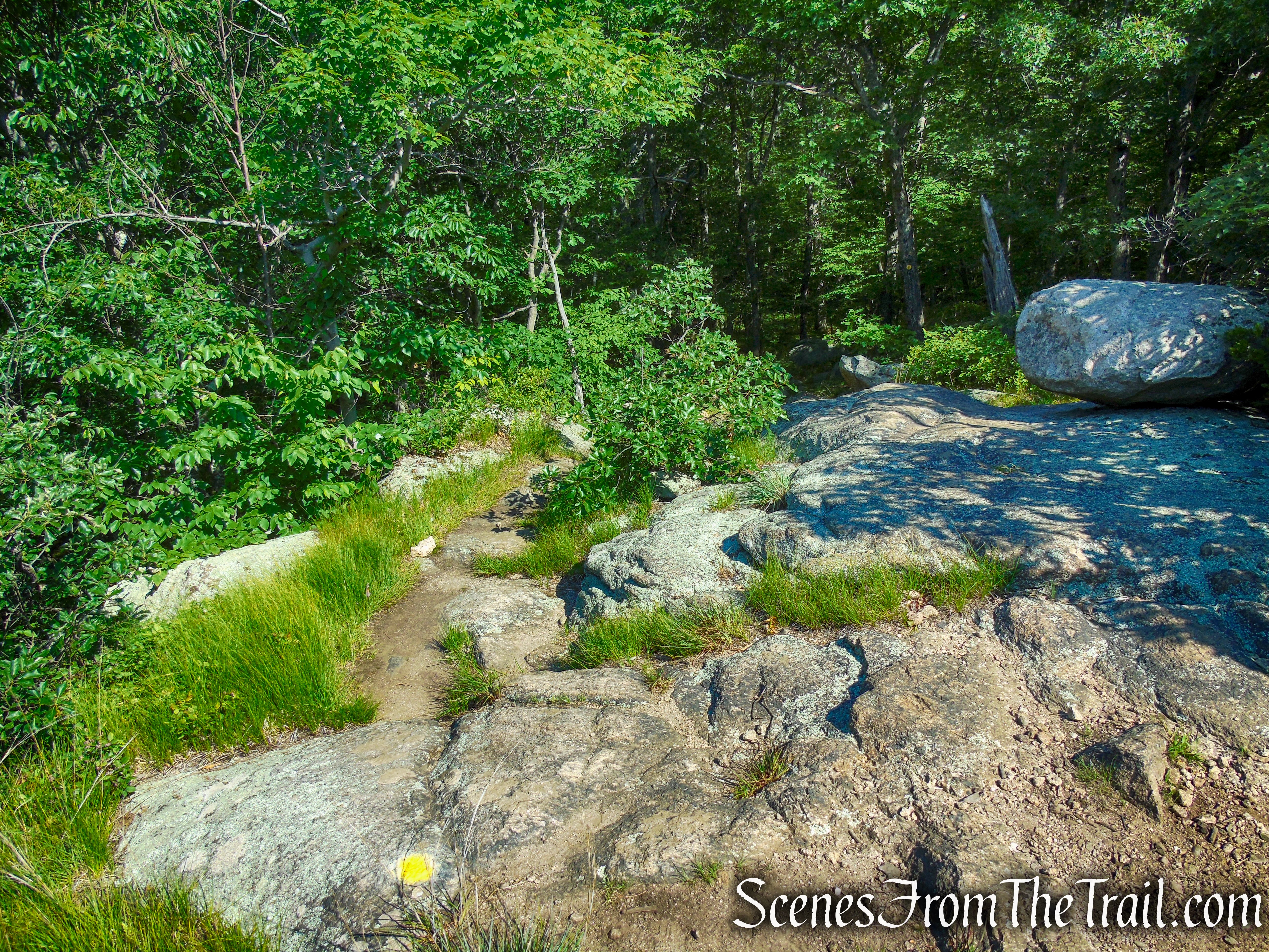 Undercliff Trail - Bull Hill