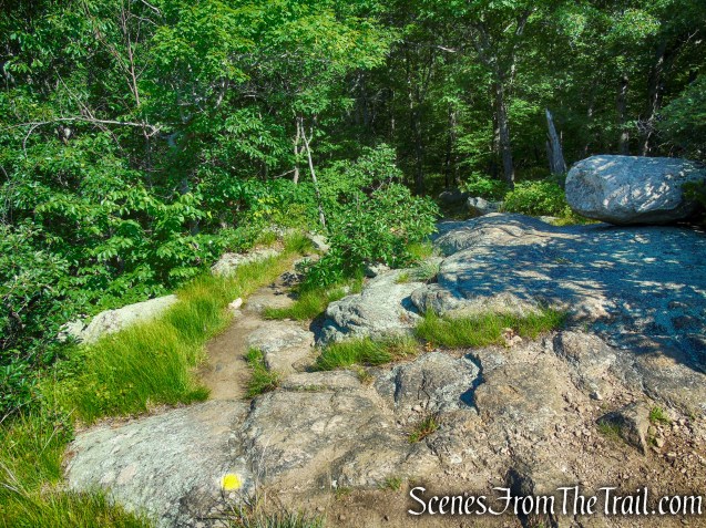 Undercliff Trail - Bull Hill