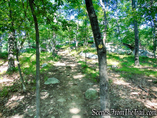 Undercliff Trail - Bull Hill
