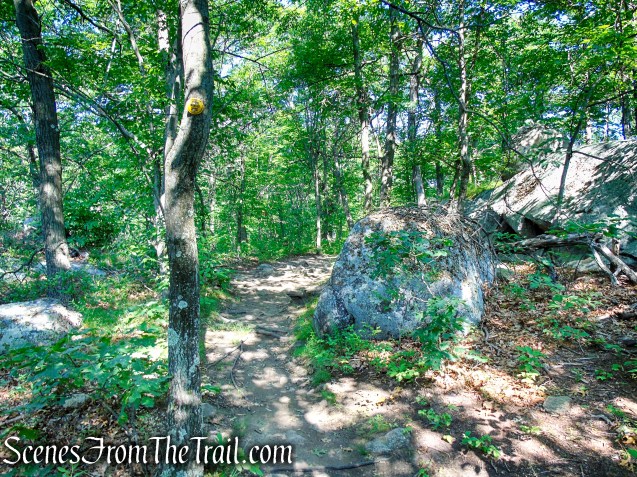 Undercliff Trail - Bull Hill