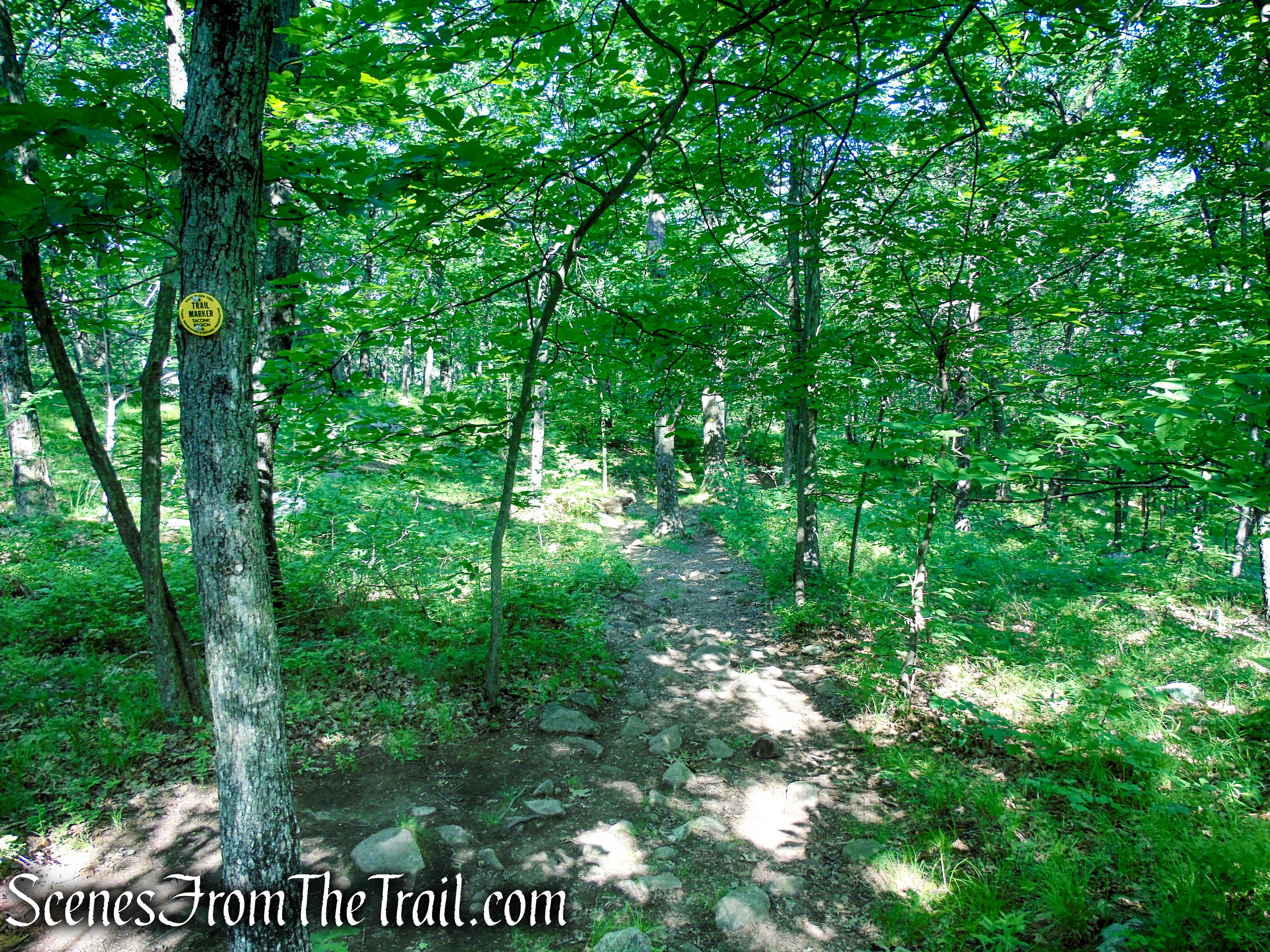 Undercliff Trail - Bull Hill