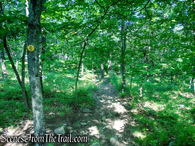 Undercliff Trail - Bull Hill