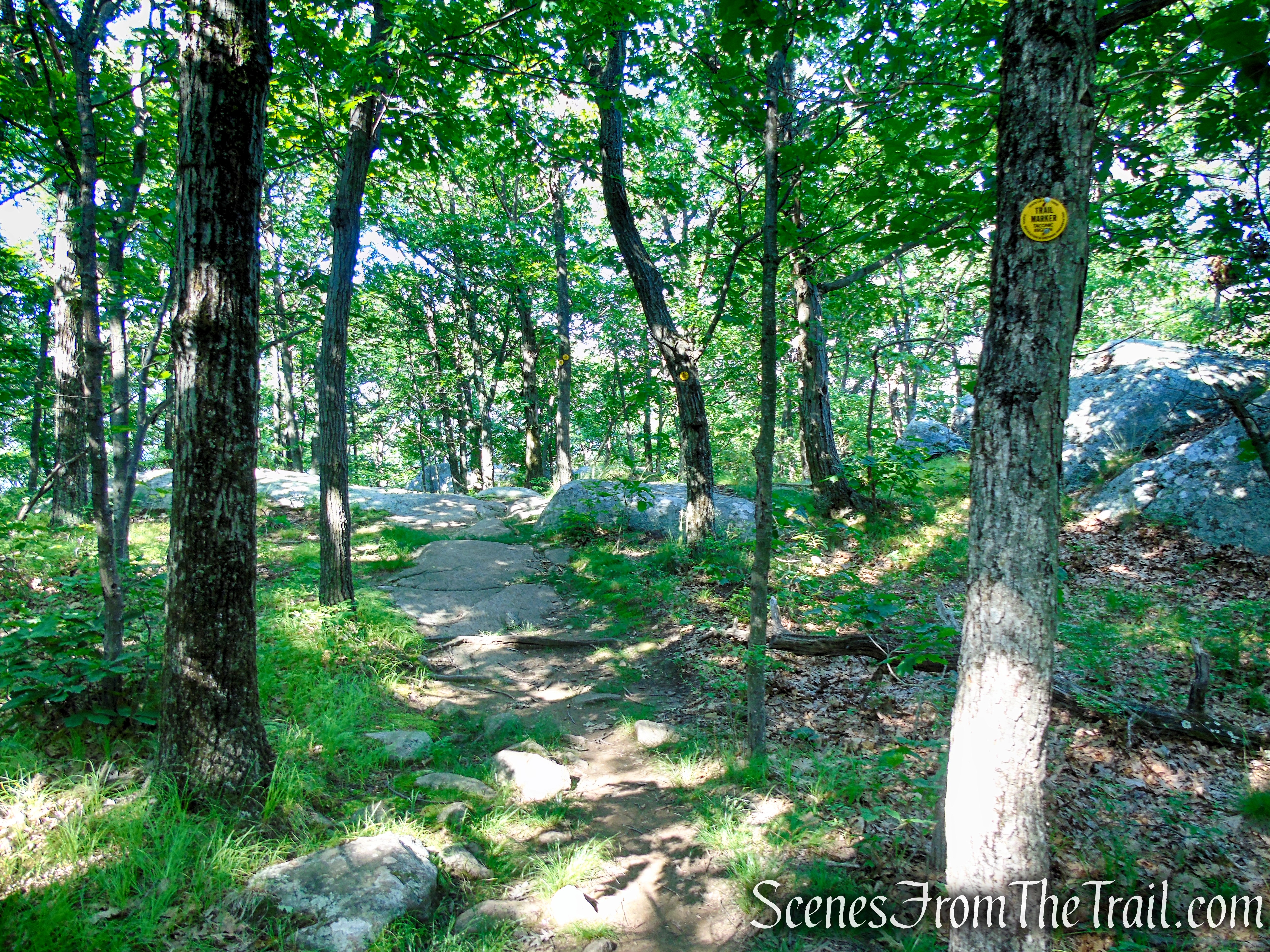 Undercliff Trail - Bull Hill
