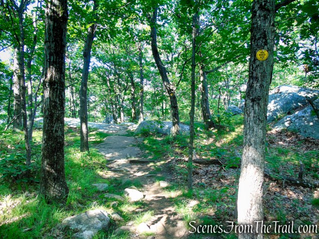 Undercliff Trail - Bull Hill