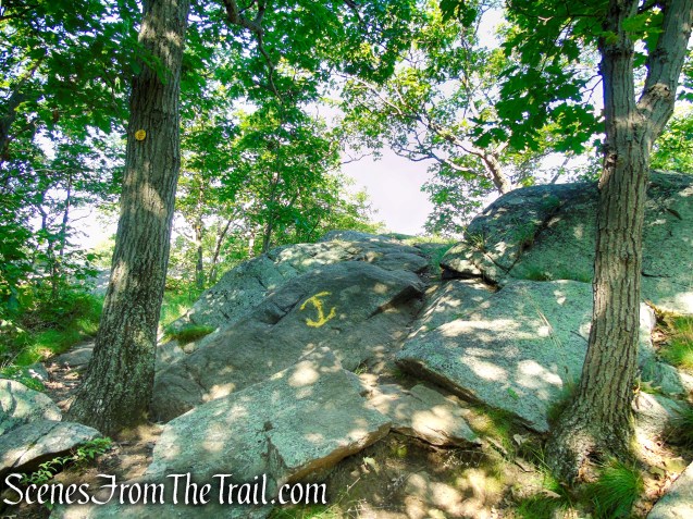 Undercliff Trail - Bull Hill
