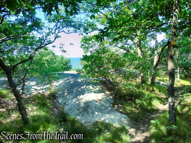 Undercliff Trail - Bull Hill