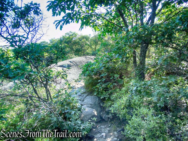 Undercliff Trail - Bull Hill