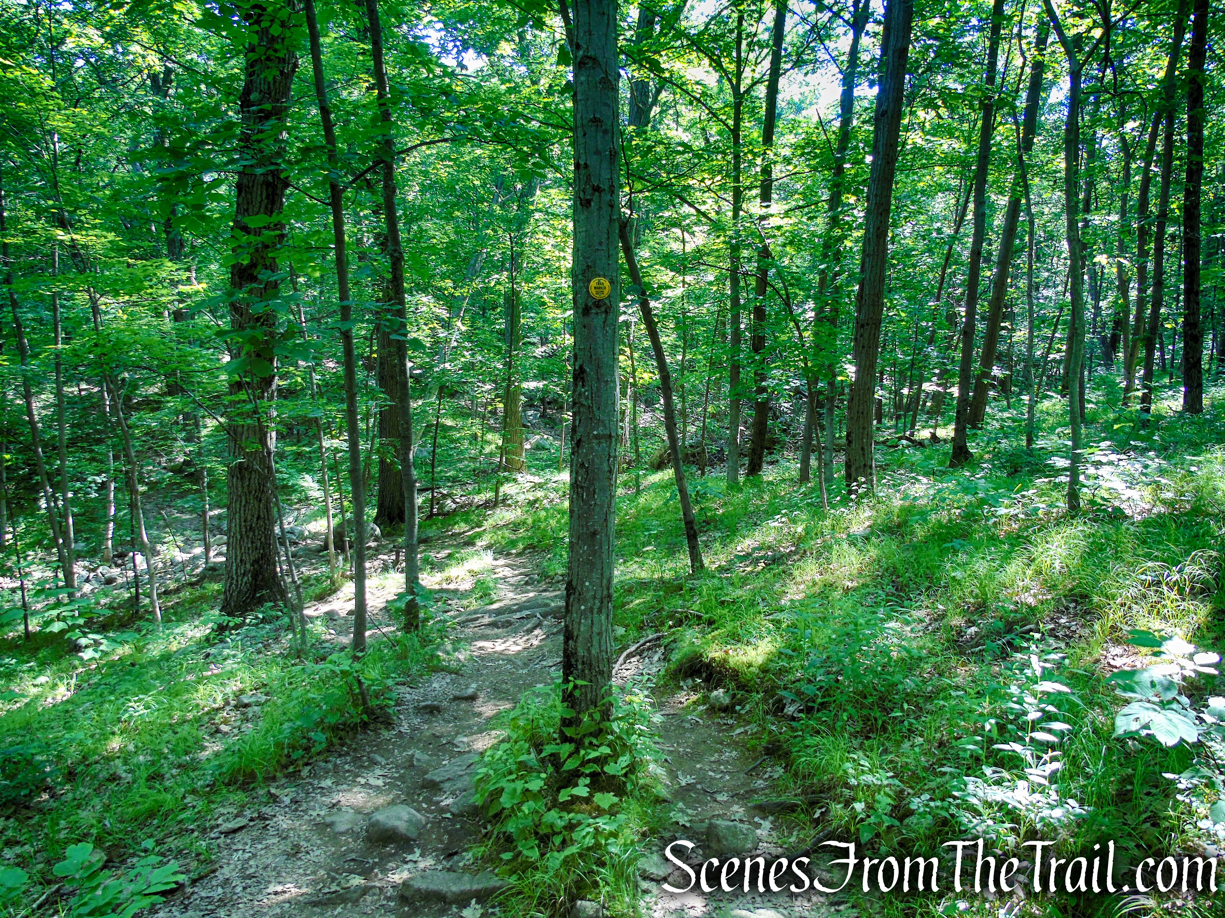 Undercliff Trail - Bull Hill