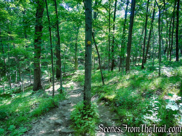 Undercliff Trail - Bull Hill
