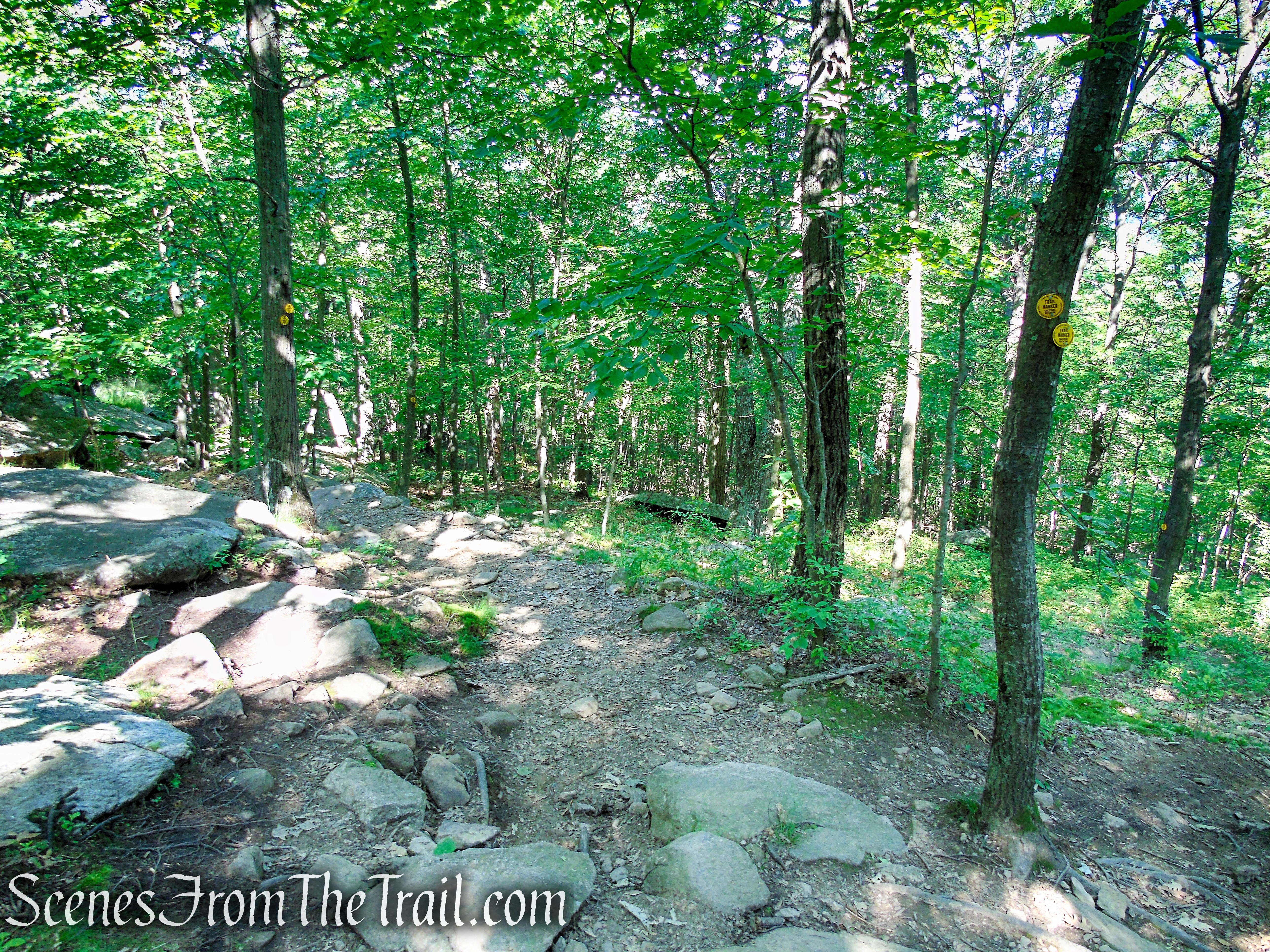 Undercliff Trail - Bull Hill