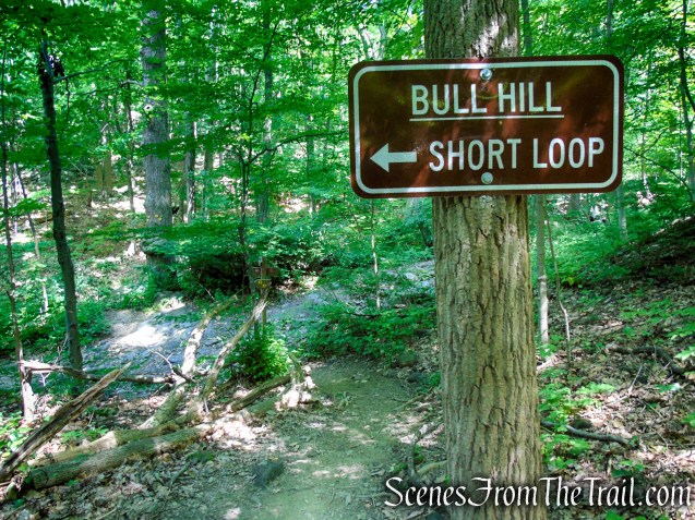 turn left on Brook/Undercliff Trails