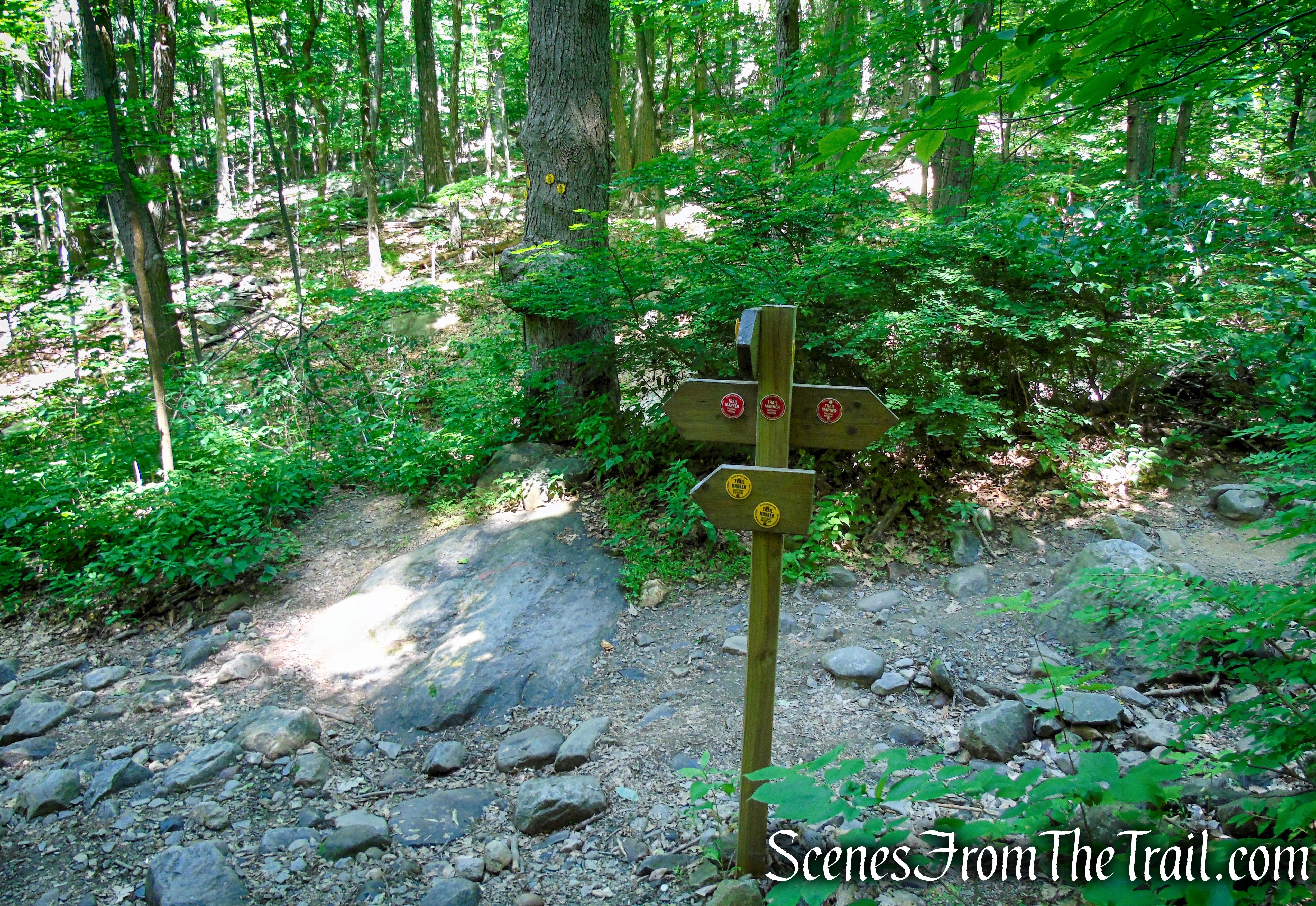 turn left on Brook/Undercliff Trails