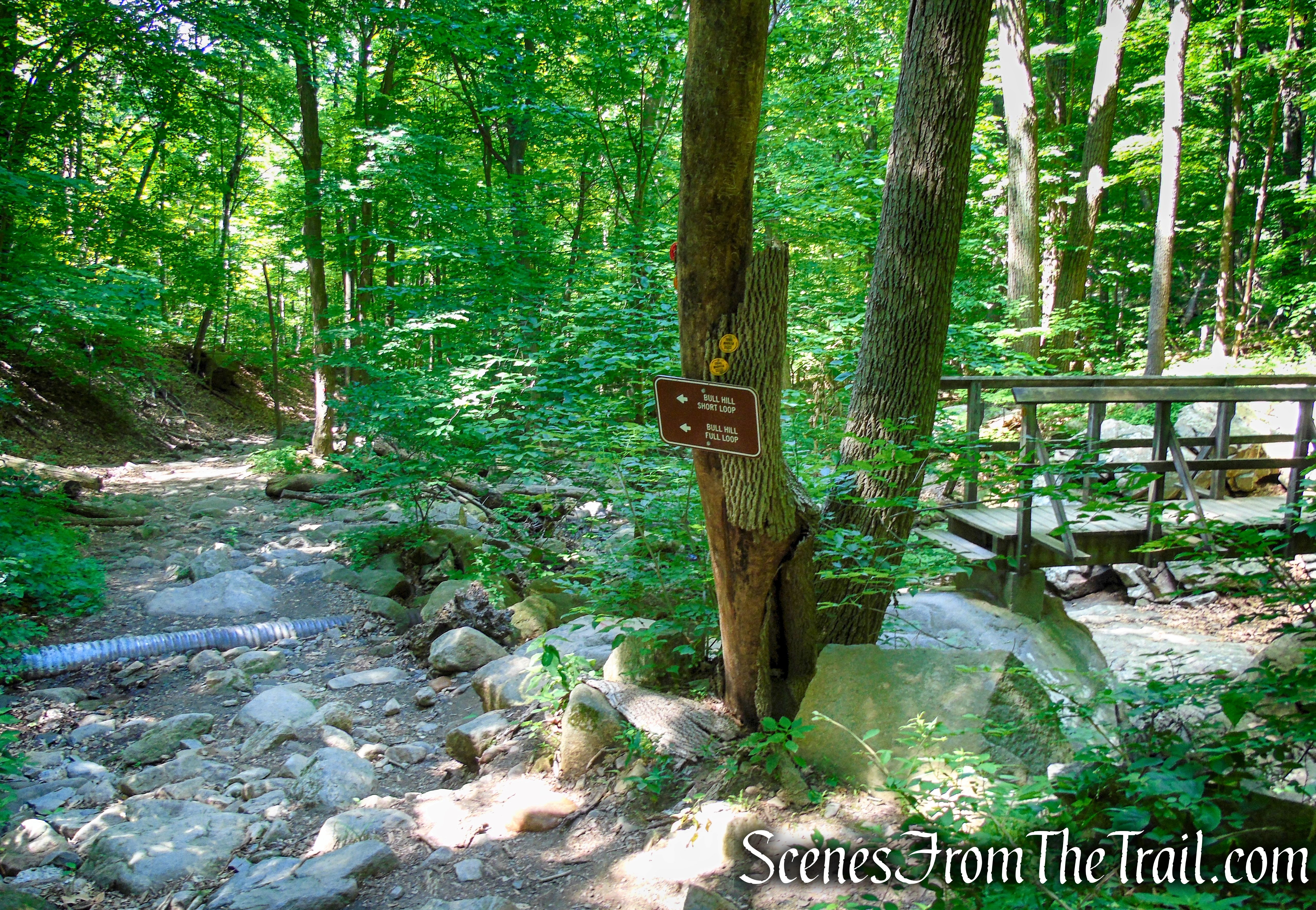 veer left on Brook Trail