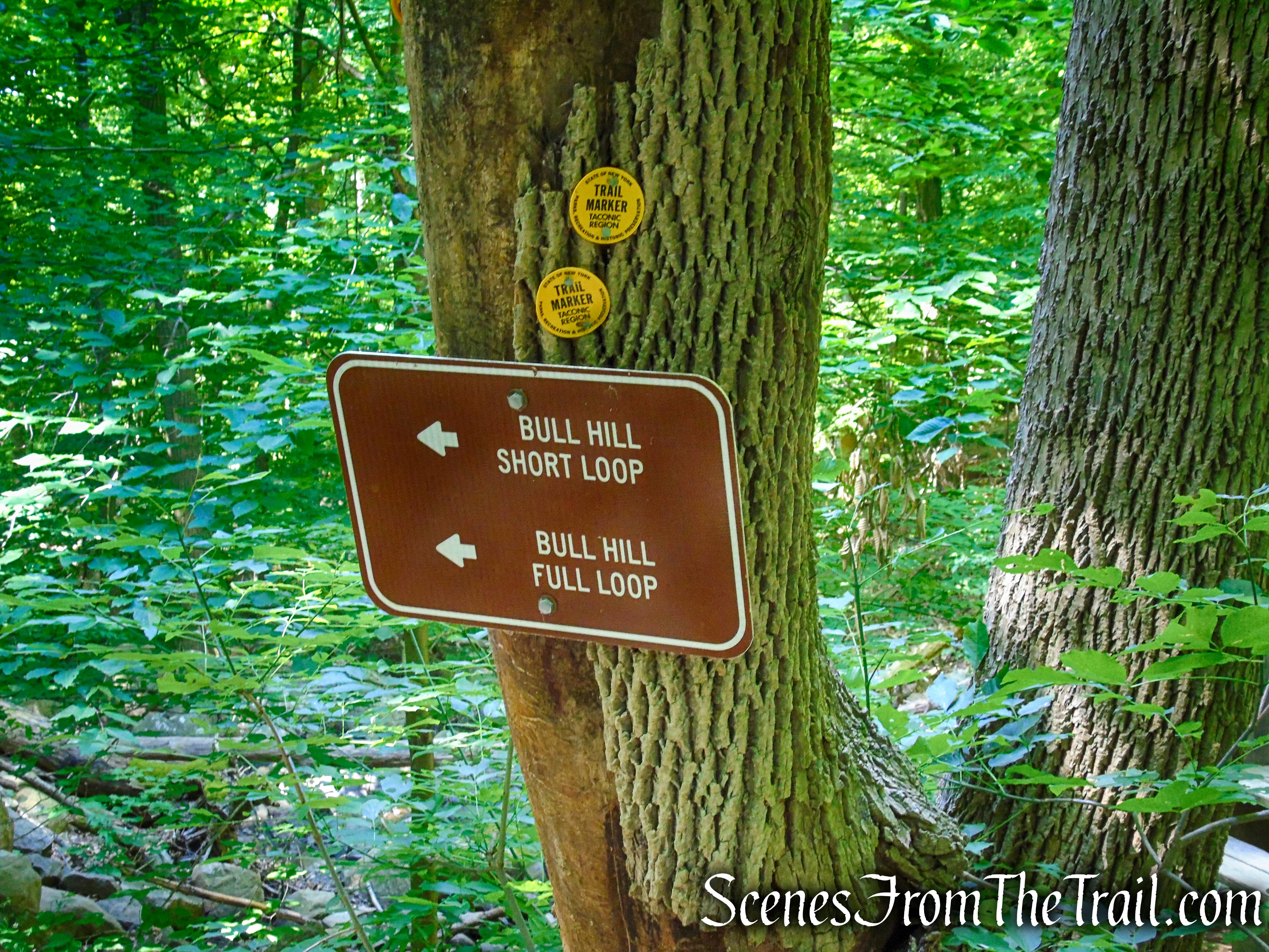 veer left on Brook Trail