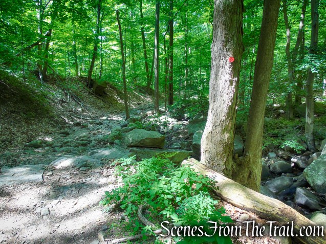 Brook Trail - Bull Hill