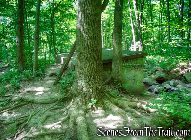 Brook Trail - Bull Hill