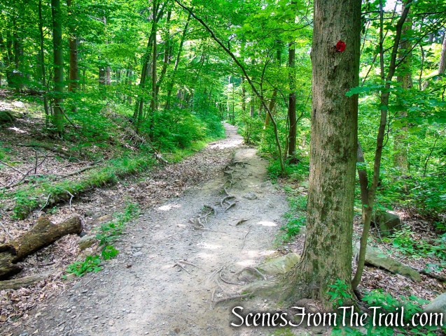 Brook Trail - Bull Hill