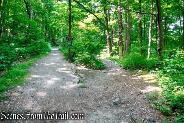 veer left onto the Cornish Trail
