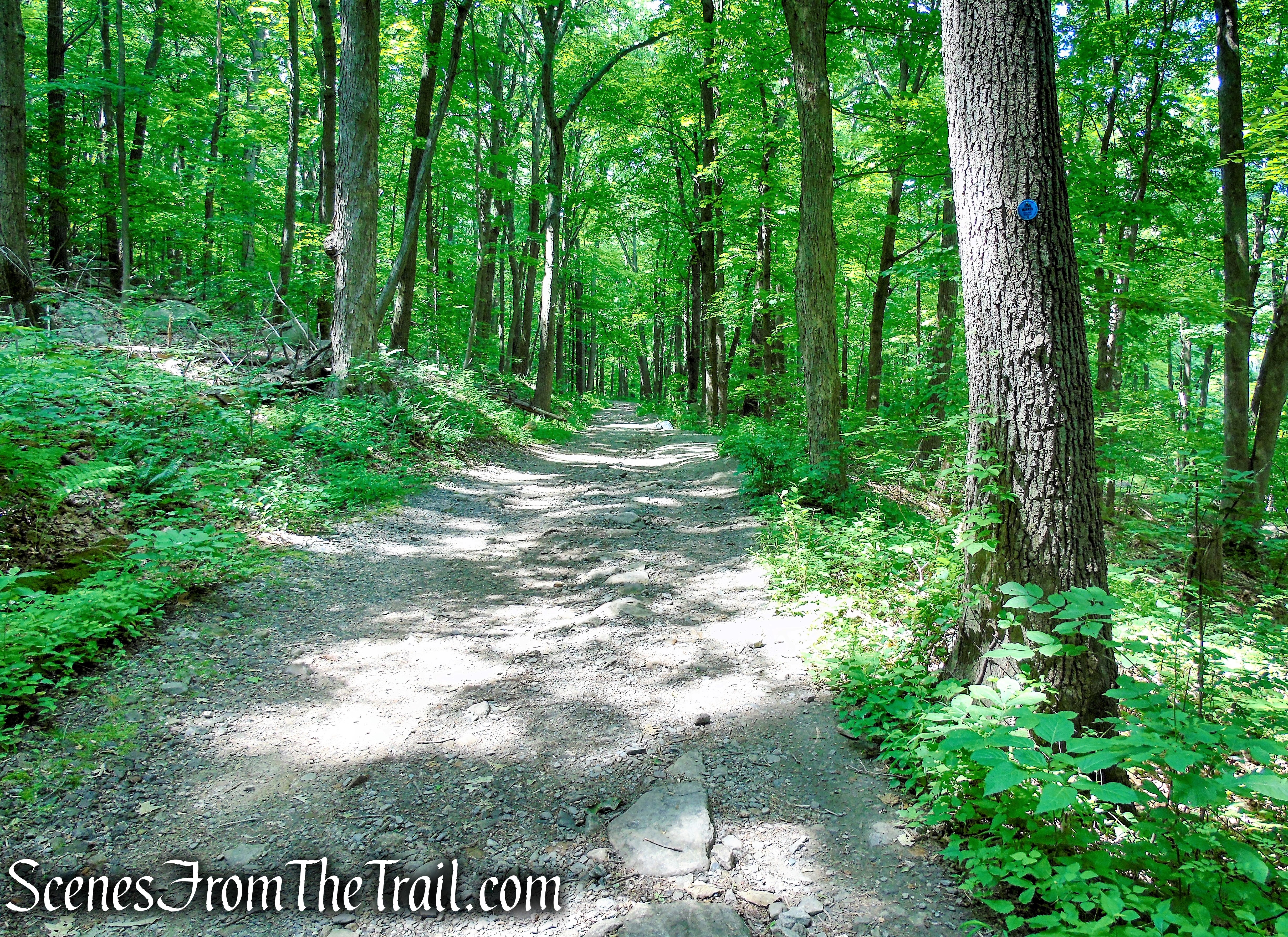 Cornish Trail - Bull Hill