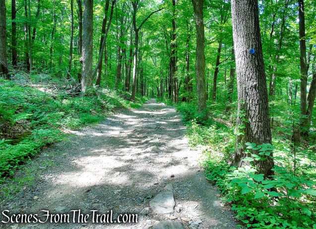 Cornish Trail - Bull Hill