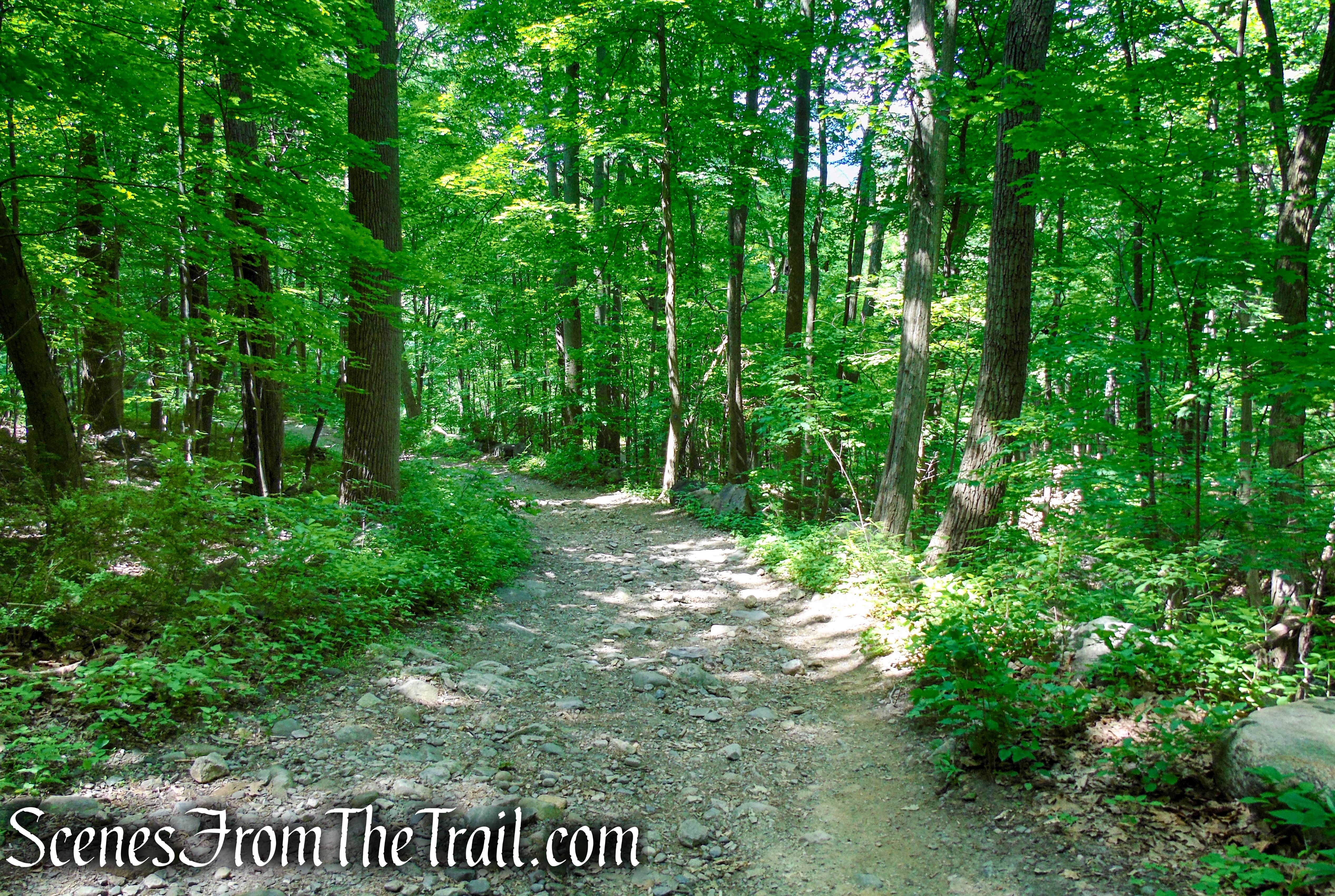 Cornish Trail - Bull Hill