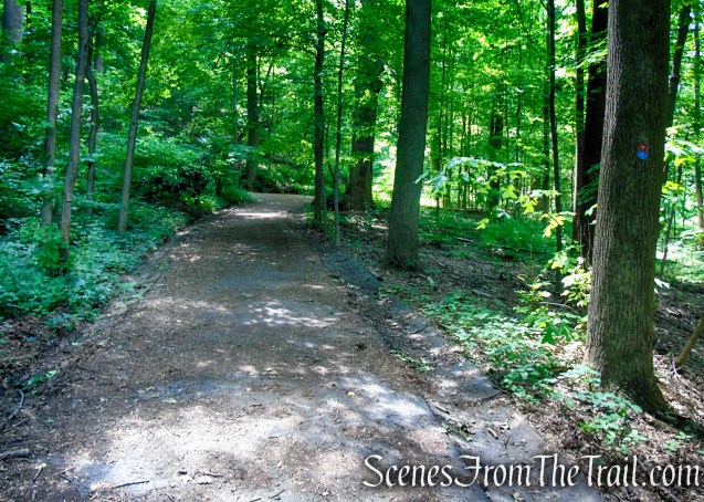 Blue/Red Trail - Cornish Estate