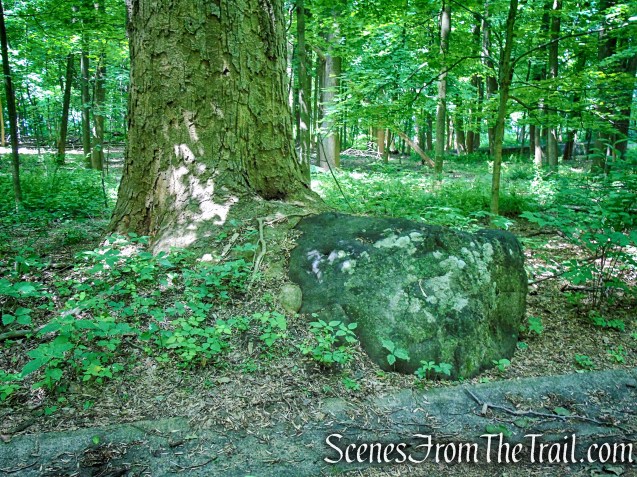 Blue/Red Trail - Cornish Estate