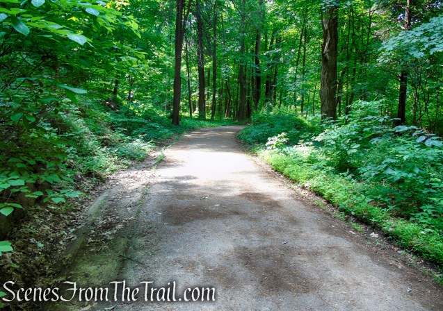Cornish Trail - Bull Hill