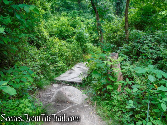 Cornish Trail - Bull Hill