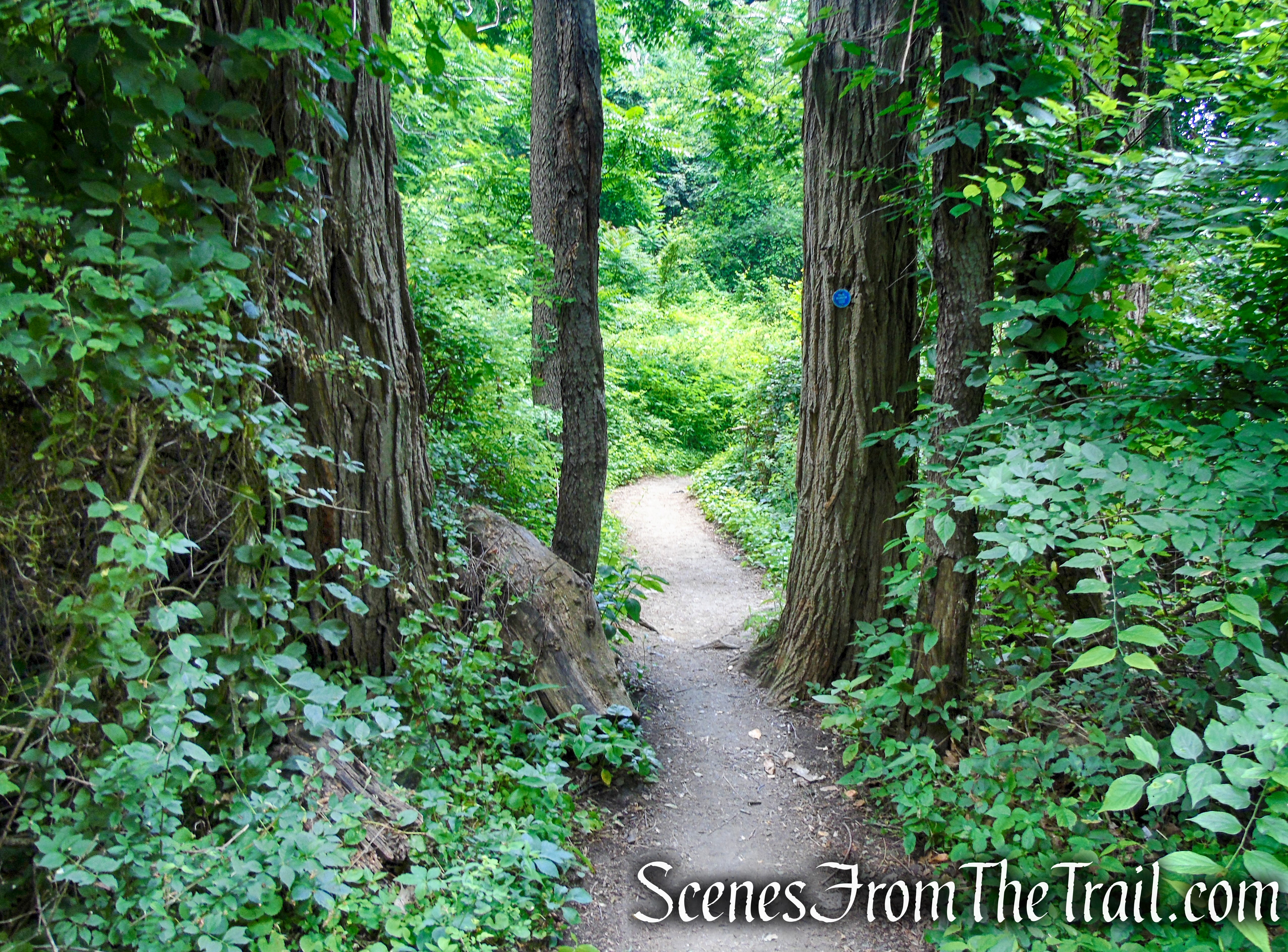 Cornish Trail - Bull Hill
