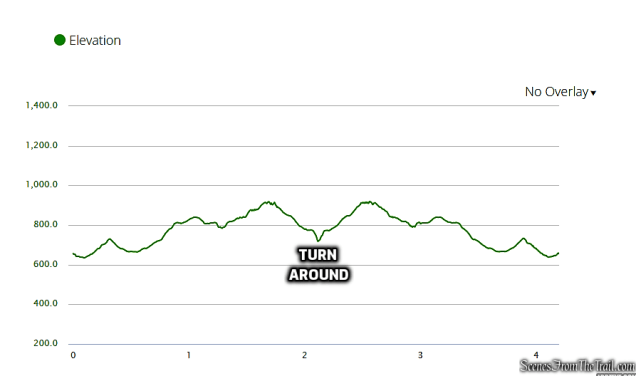 elevation profile - Oscawana Ridge Trail