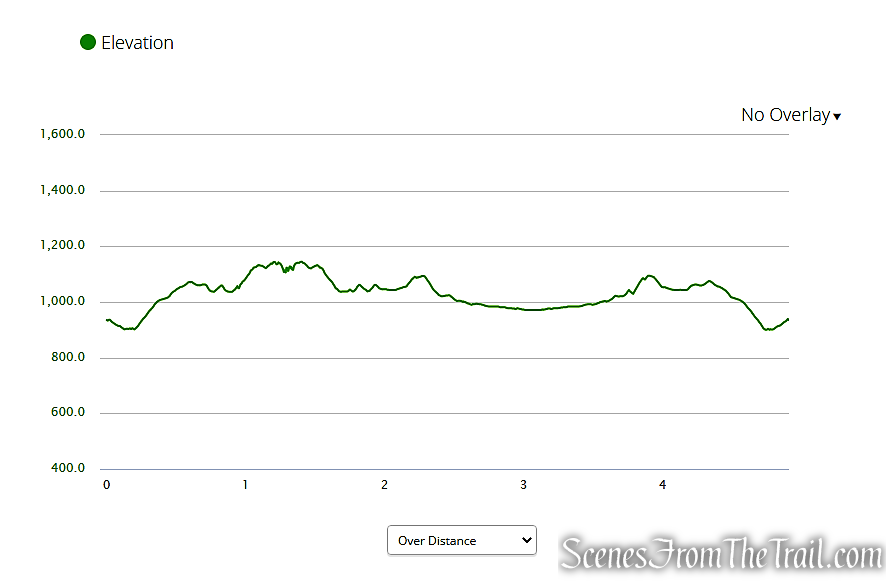 elevation profile - Stahahe High Peak & Island Pond