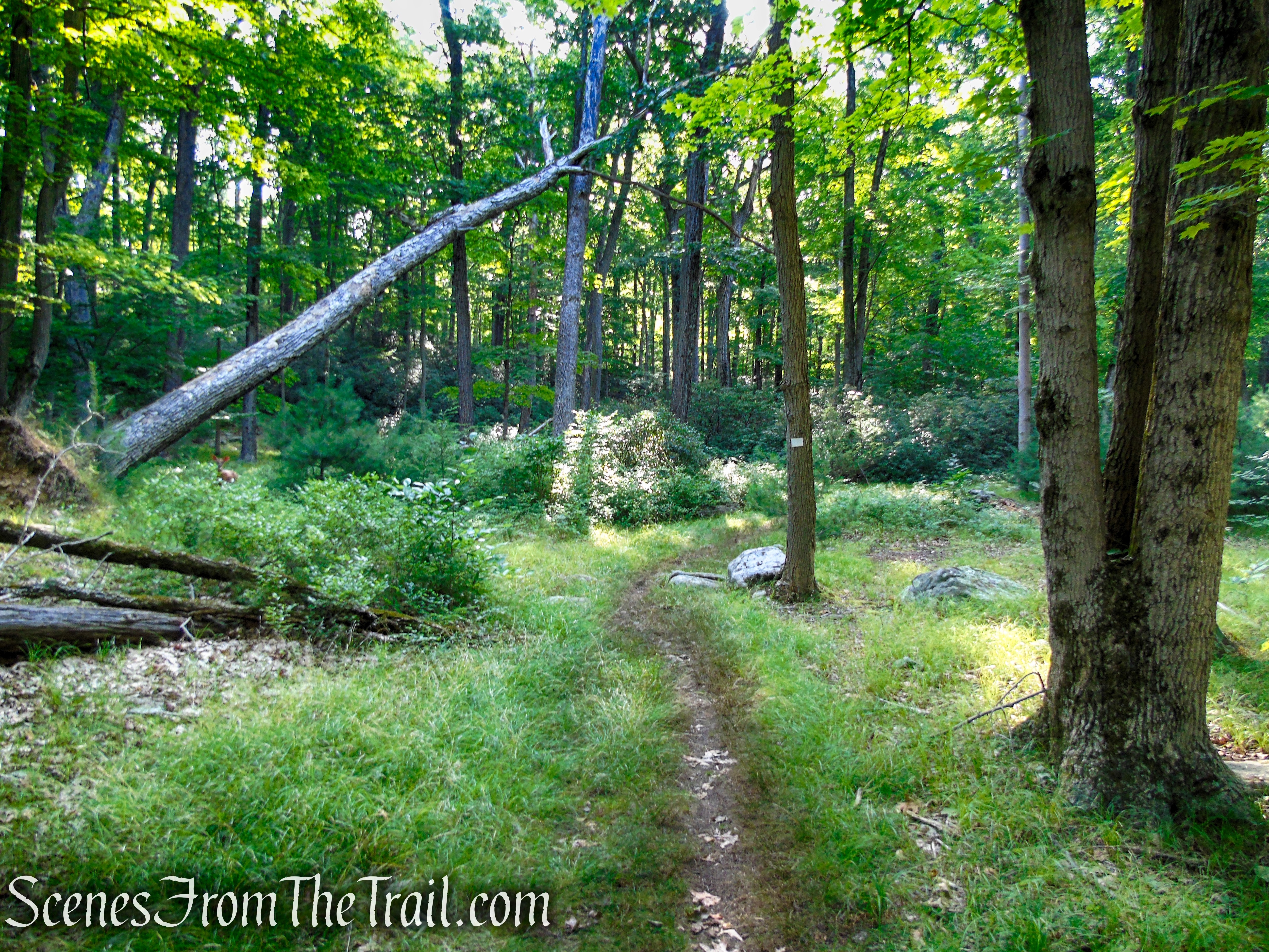 White Bar Trail - Harriman State Park
