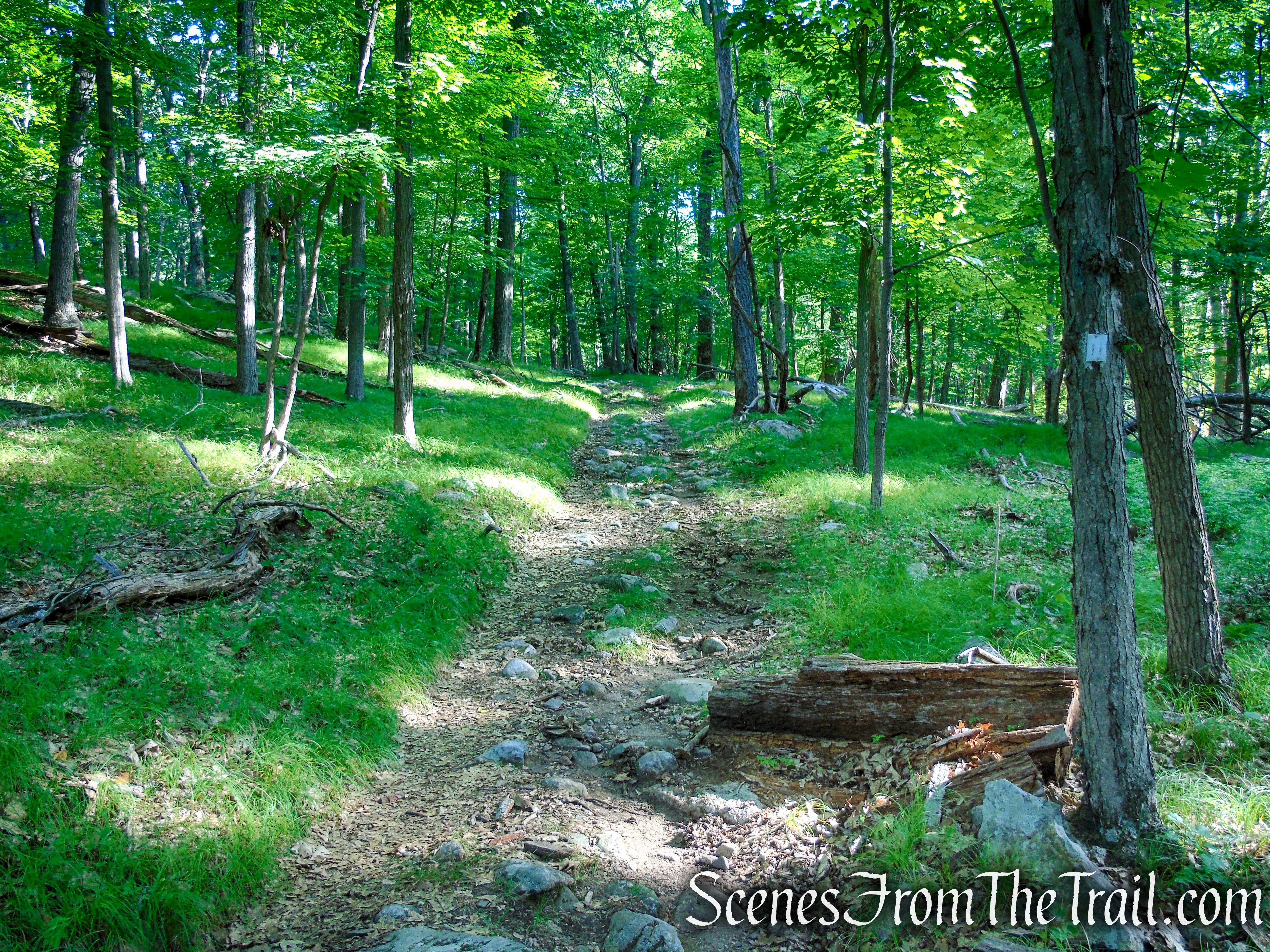 White Bar Trail - Harriman State Park