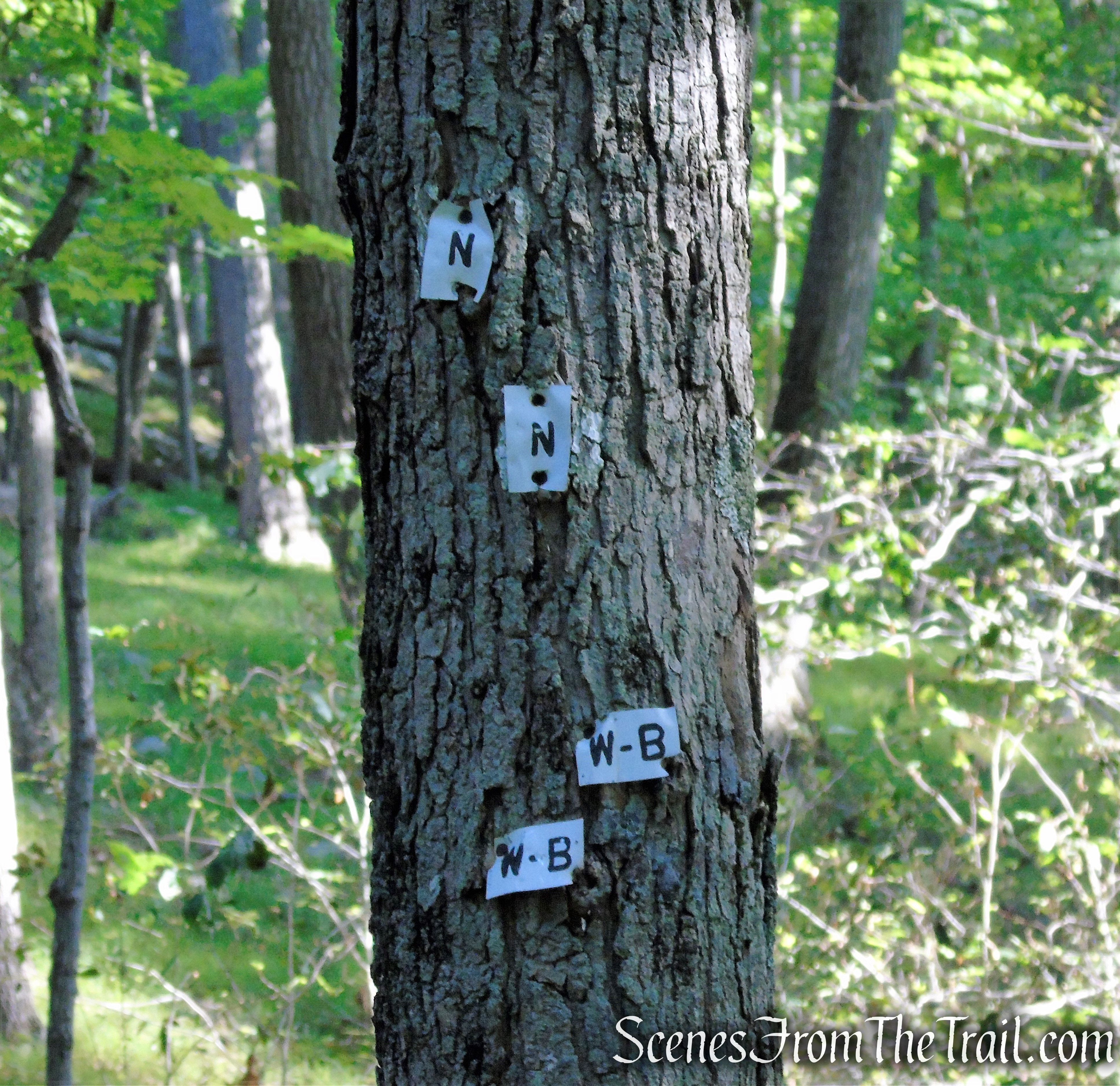 bear right to remain on the White Bar Trail