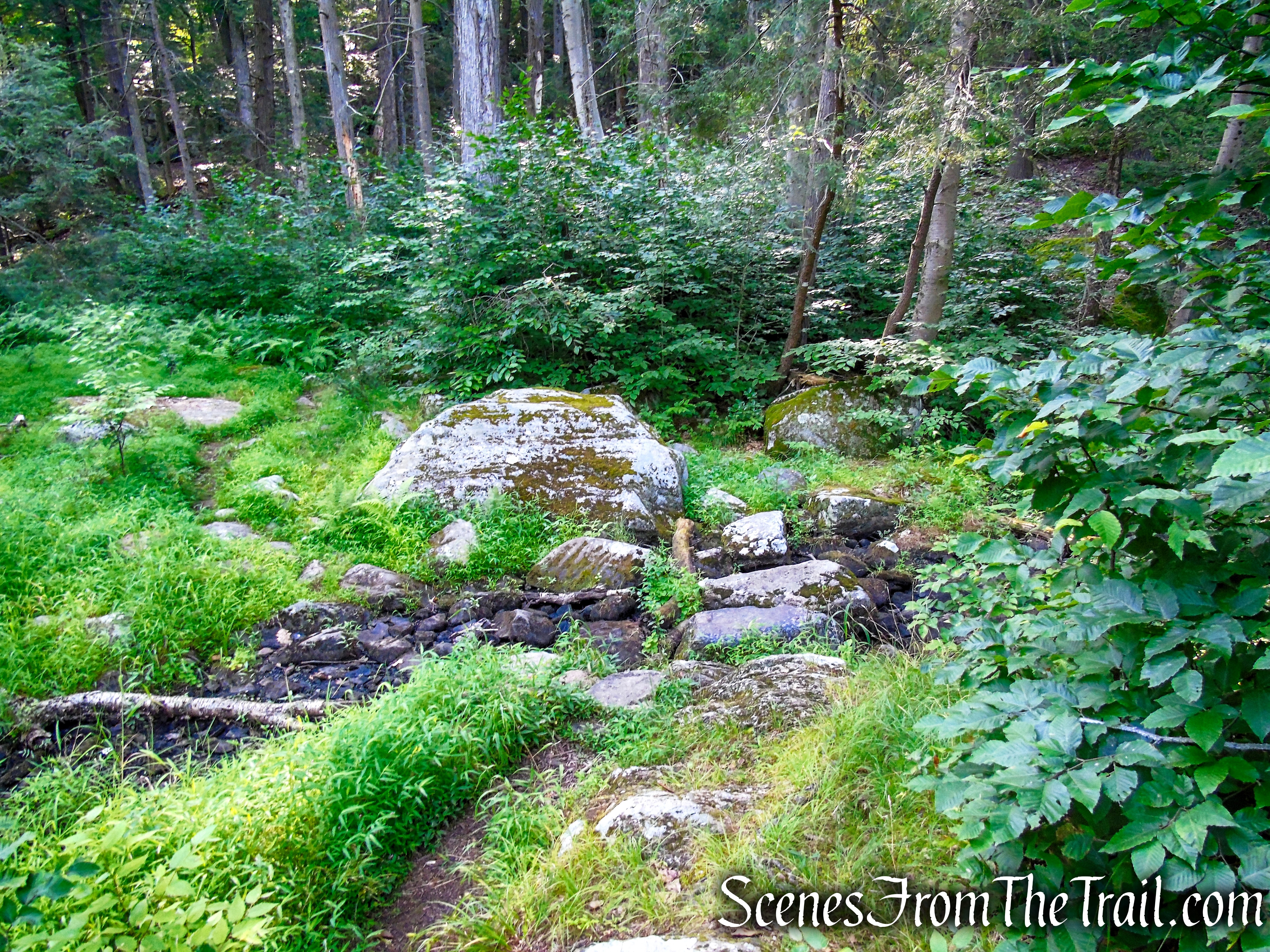 stream crossing White Bar Trail