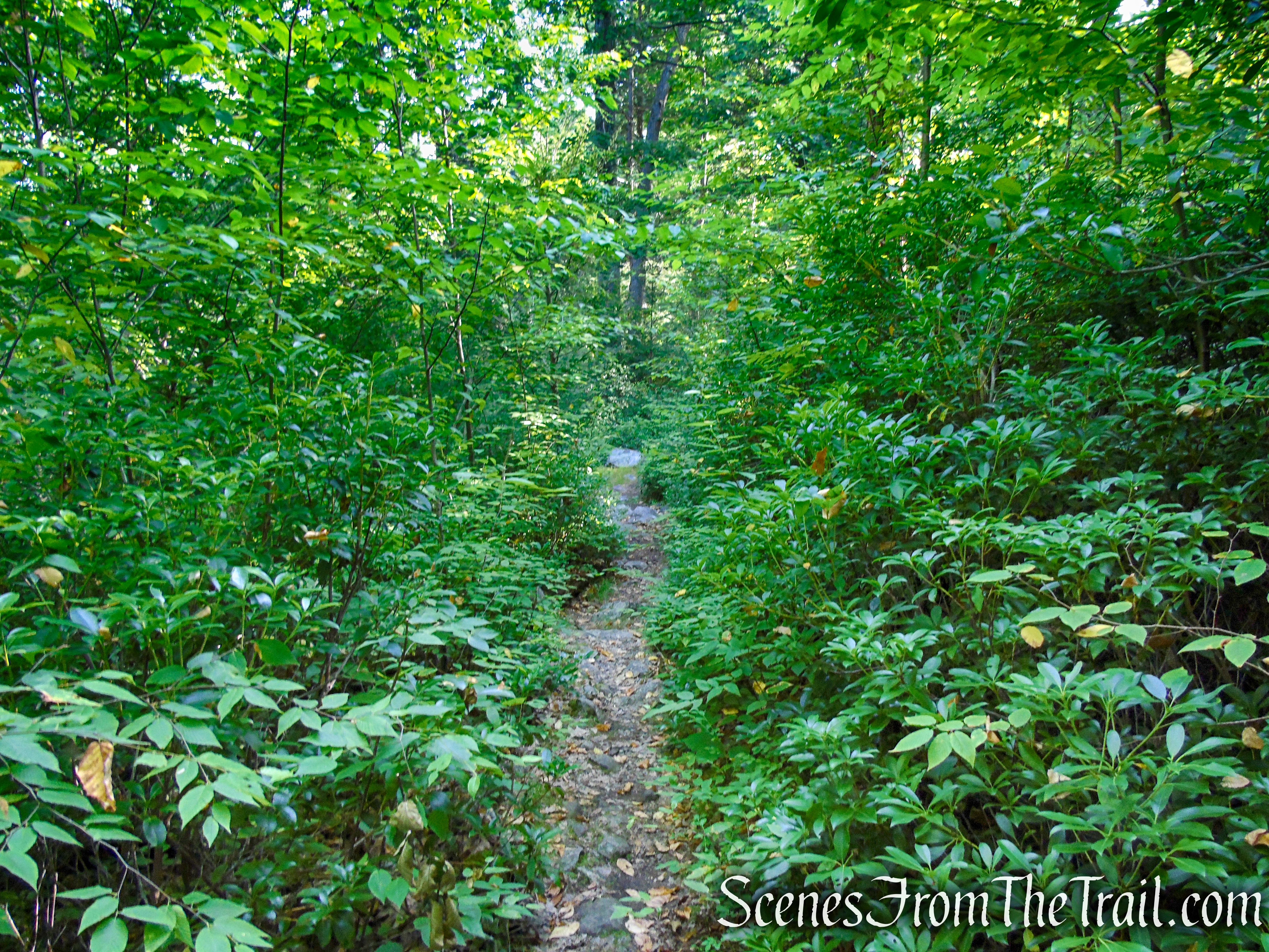 White Bar Trail - Harriman State Park