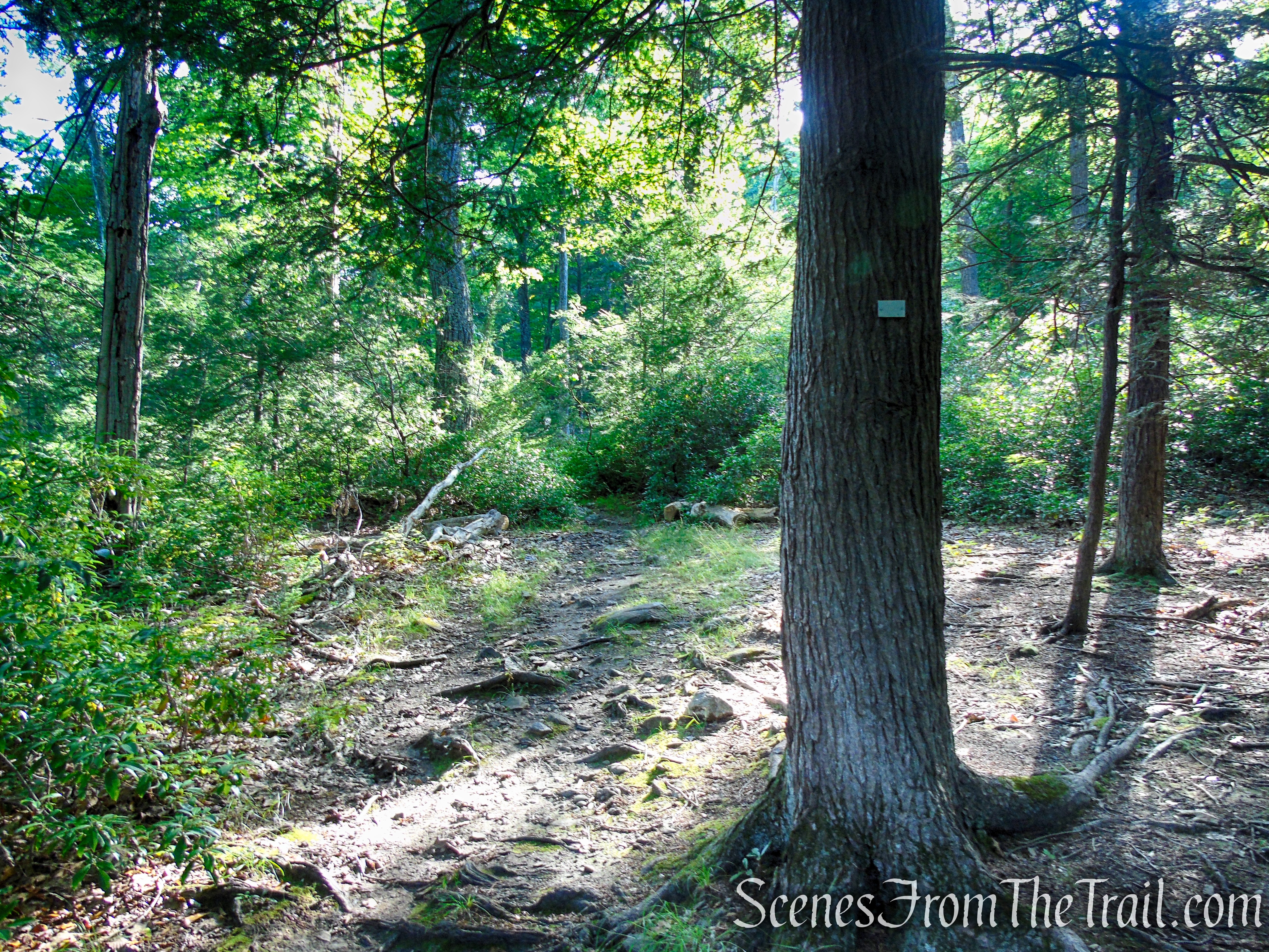 White Bar Trail - Harriman State Park