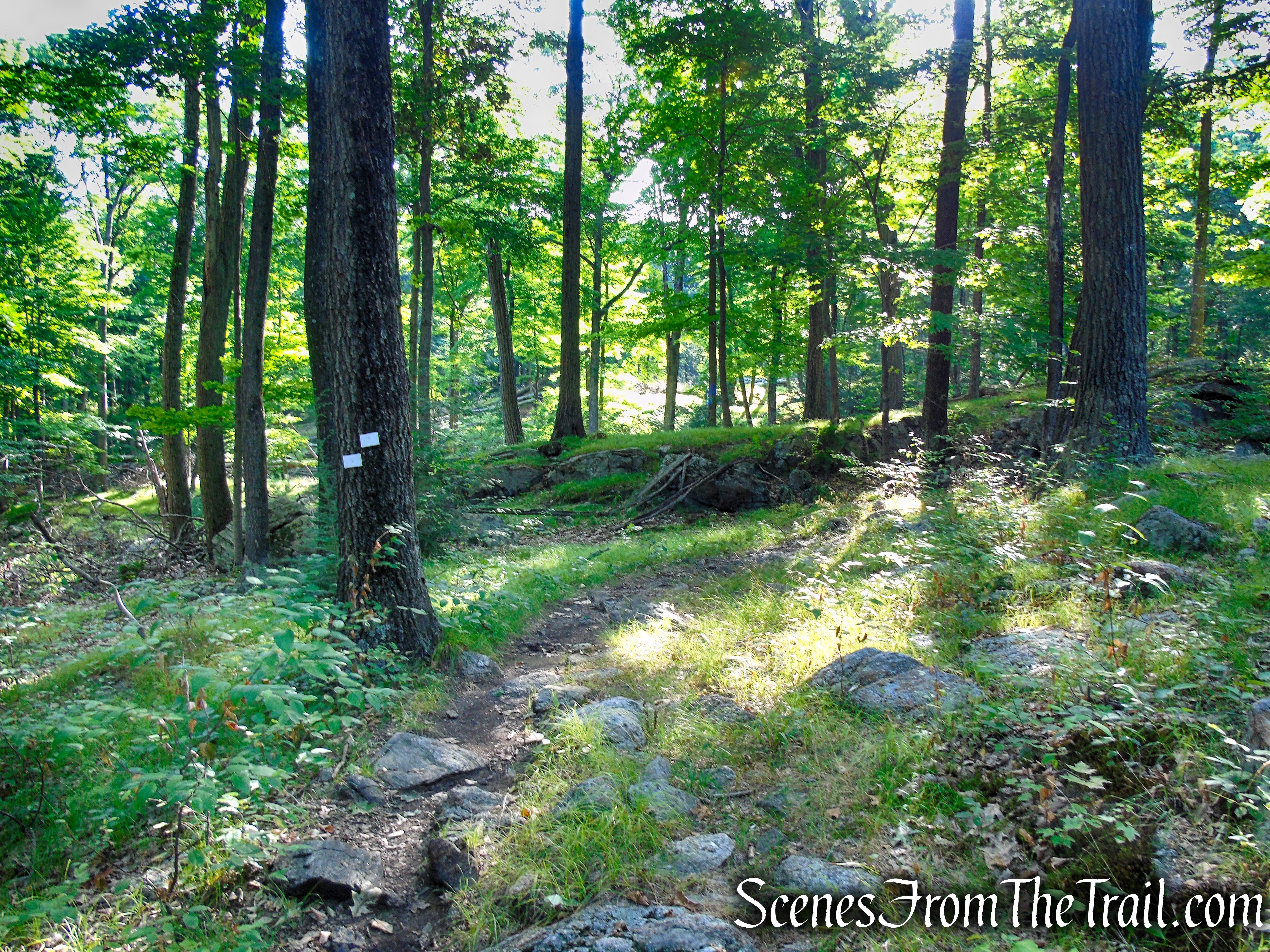 White Bar Trail - Harriman State Park