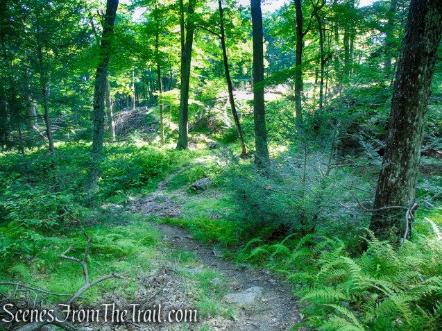 White Bar Trail - Harriman State Park
