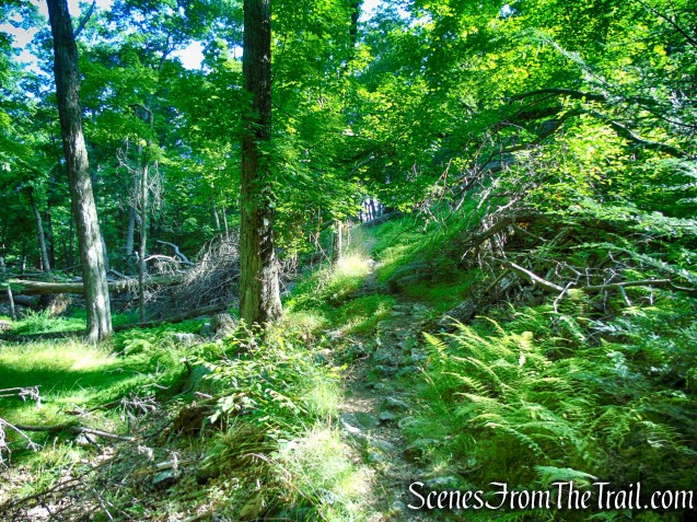 White Bar Trail - Harriman State Park