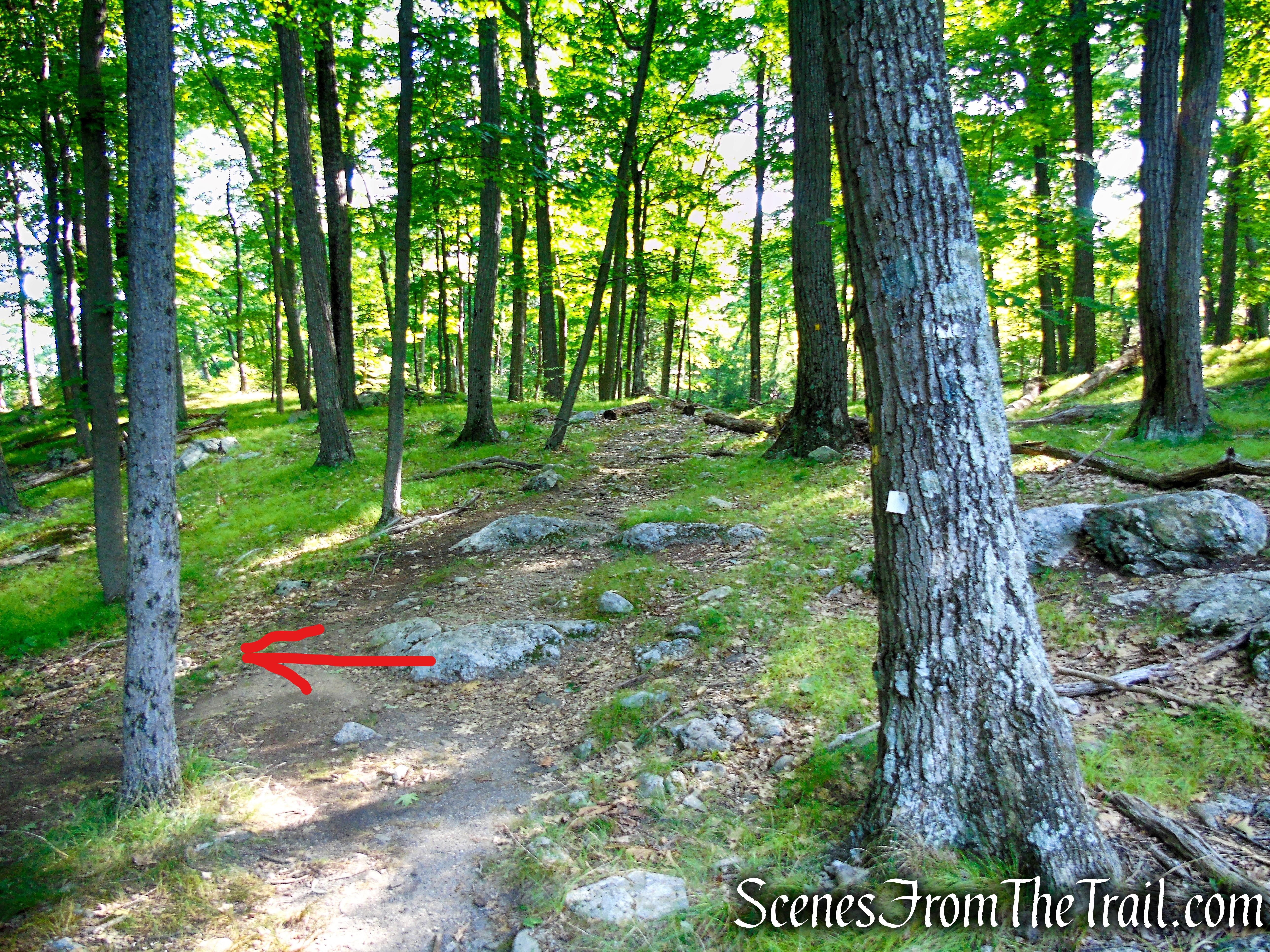 turn left on Dunning Trail