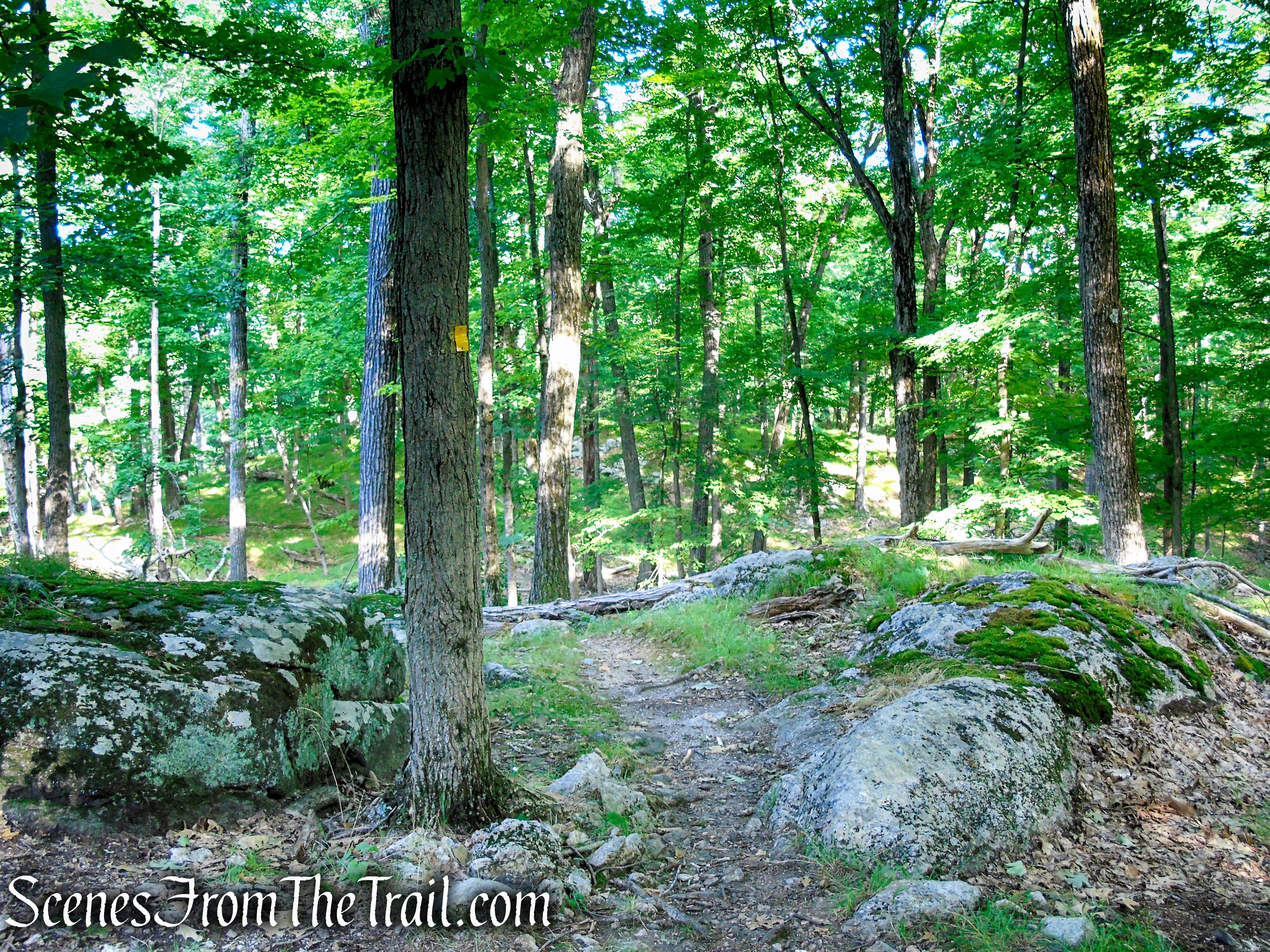 Dunning Trail - Harriman State Park