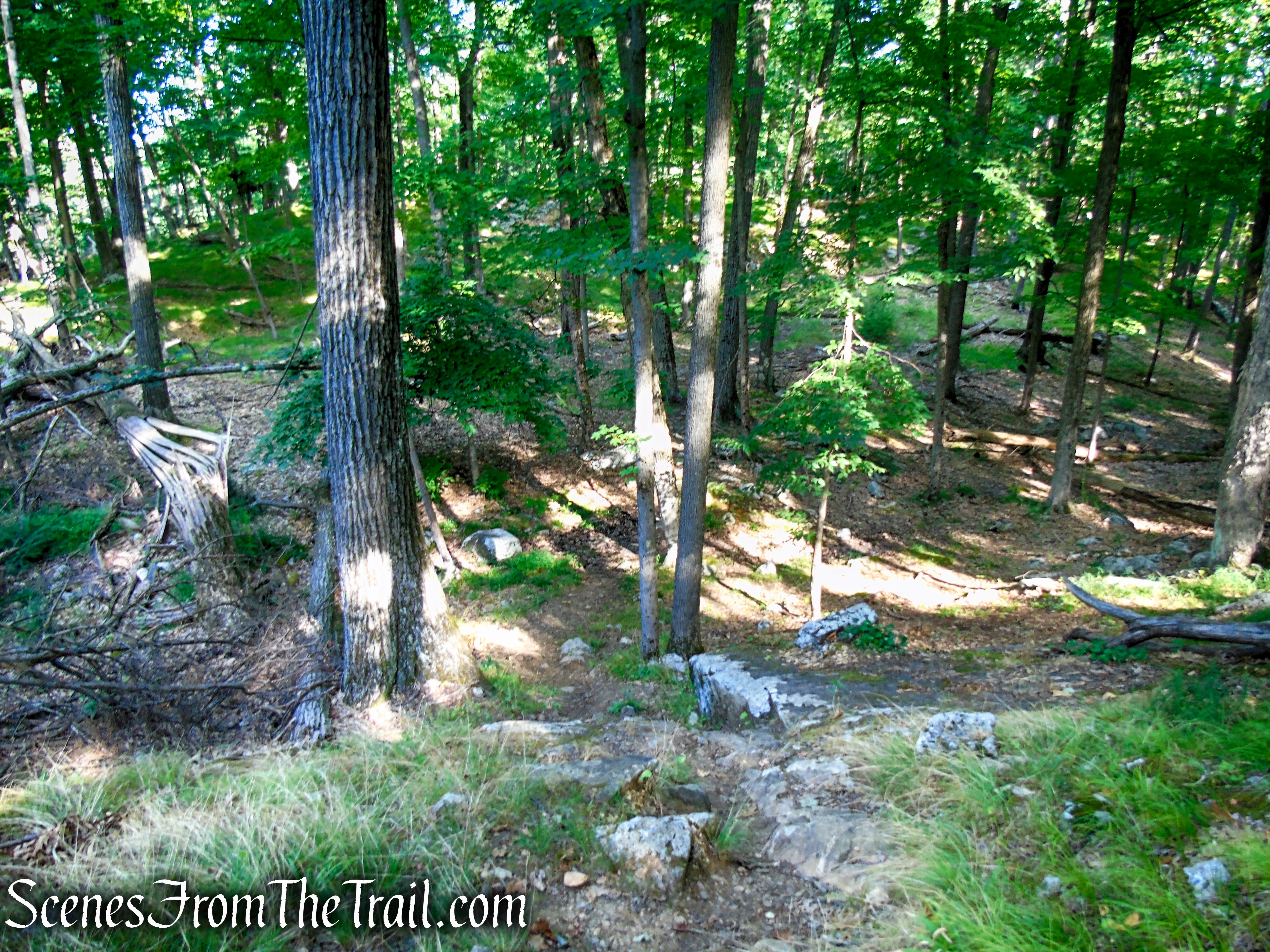 Dunning Trail - Harriman State Park